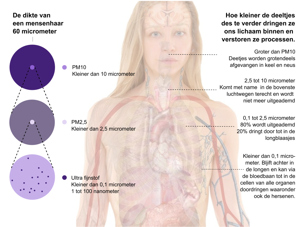 Visual dikte van een haar tot PM10 en 1 Nanometer resize